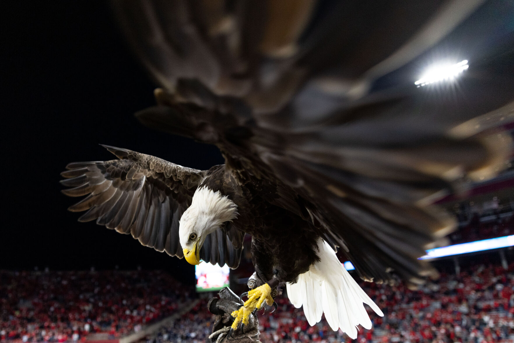 091122-owh-spo-nebgeorgiasouthern-ar58.JPG